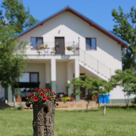 Pensiunea Palaghia Журиловка Экстерьер фото