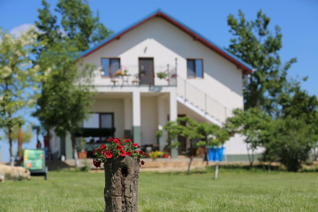 Pensiunea Palaghia Журиловка Экстерьер фото