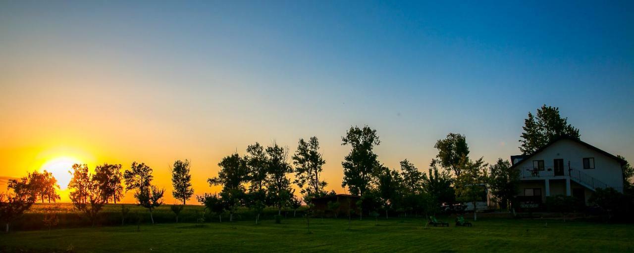 Pensiunea Palaghia Журиловка Экстерьер фото