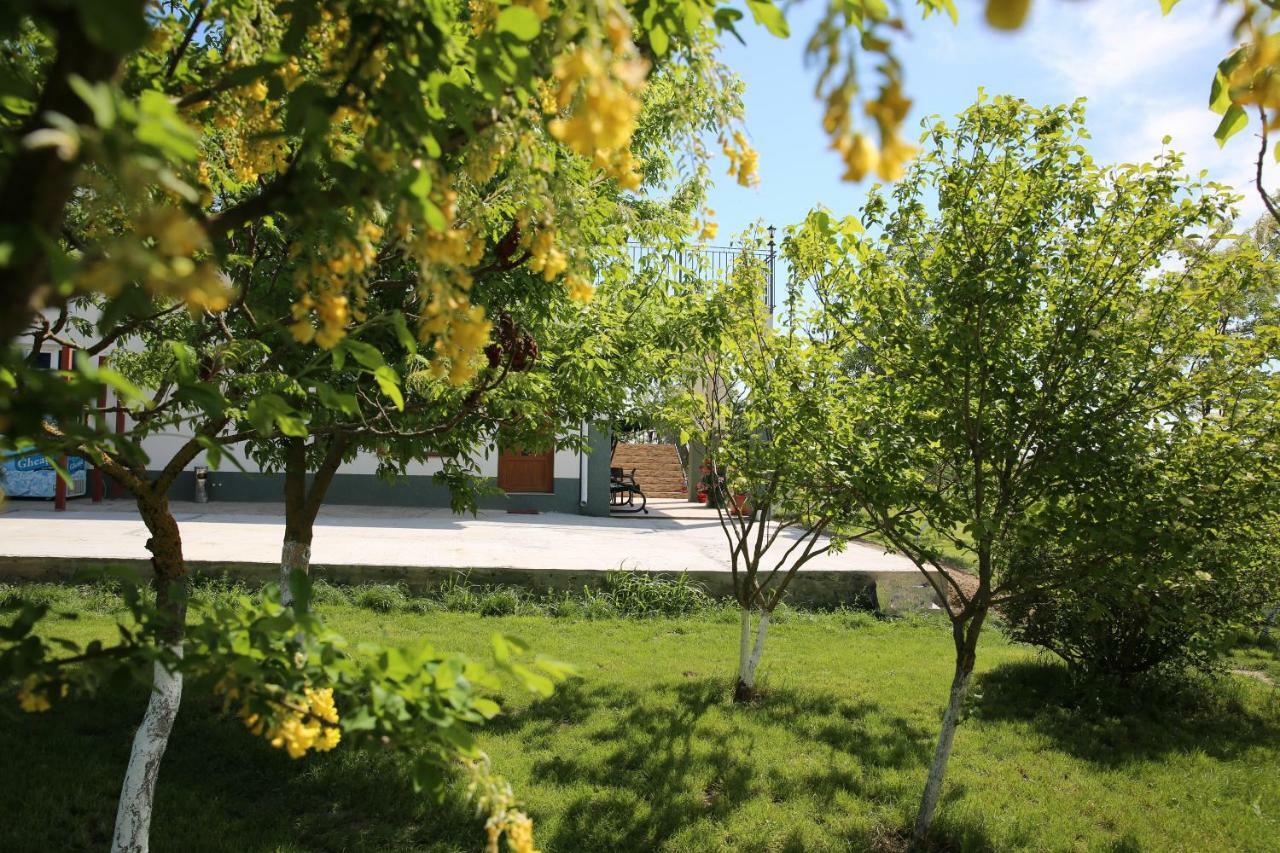 Pensiunea Palaghia Журиловка Экстерьер фото